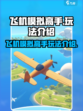 飞机模拟高手攻略介绍