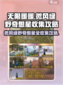 无限暖暖微风绿野奇想星收集攻略介绍