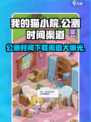 我的猫小院公测时间介绍