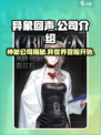 异象回声是哪个公司的介绍
