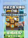 决战之地💎兑换码大公开！玩家必看🔥