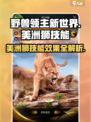 野兽领主新世界美洲狮技能有哪些介绍