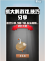 抓大鹅游戏技巧💥轻松上手，速来围观🎮