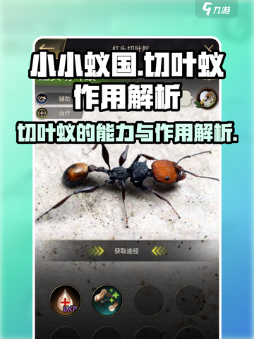 小小蚁国切叶蚁有什么用介绍截图1