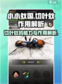 小小蚁国切叶蚁有什么用介绍