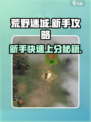 荒野迷城手游攻略分享介绍