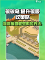 碳碳岛如何提高碳吸收介绍