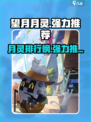 望月月灵排行榜介绍