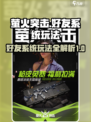 萤火突击为什么搜不到好友介绍