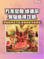 万龙觉醒🔥维德尔宠物最强搭配🌟必看攻略！