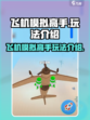 飞机模拟高手玩法介绍介绍