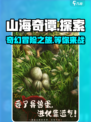 山海奇谭好玩吗介绍