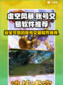虚空风暴账号交易📖可靠软件推荐💥