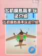飞机模拟高手玩法介绍介绍