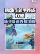 踏风行🔥新手必看！极速养成攻略🎉