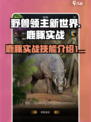 《野兽领主新世界》鹿豚实战技能大曝光🔥