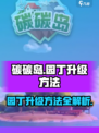 碳碳岛🔥园丁升级秘籍🎉游戏高手必看！