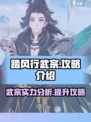 踏风行武宗攻略介绍介绍