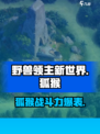 野兽领主新世界狐猴好用吗介绍
