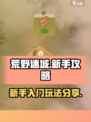 荒野迷城手游攻略分享介绍