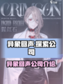 异象回声是哪个公司的介绍