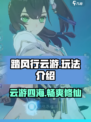 踏风行云游是什么介绍