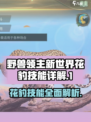 野兽领主新世界花豹技能怎么样介绍