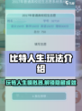 比特人生怎么玩介绍