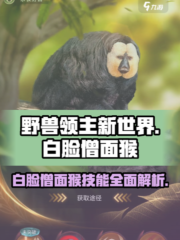 野兽领主新世界🎮白脸僧面猴技能大曝光🔥截图1