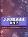 小小蚁国资源有哪些介绍