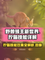 《野兽领主新世界》狞猫技能大揭秘！🔥猫系霸主等你来驯服opard