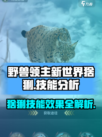 野兽领主新世界：猞猁技能🔥超强分析/Game Name截图1