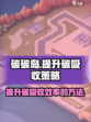 碳碳岛如何提高碳吸收介绍