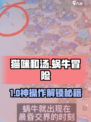 🎮《猫咪和汤》爆肝刷蜗牛攻略！