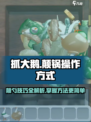 抓大鹅怎么颠锅介绍介绍