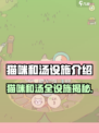 🎮猫咪和汤全设施揭秘！隐藏玩法大公开🐾
