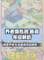 养老模拟器最高等级是多少介绍