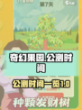 奇幻果园公测什么时候介绍