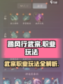 踏风行武宗玩法攻略介绍