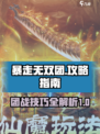 暴走无双团攻略一览介绍