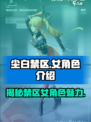 尘白禁区女角色有哪些介绍