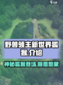 野兽领主新世界狐猴怎么样介绍