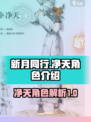 新月同行的净天怎么样介绍