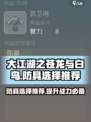 大江湖之苍龙与白鸟防具怎么选介绍
