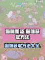 猫咪和汤怎么买猫？游戏秘籍大公开！🐾