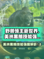 野兽领主新世界🎮美洲黑熊技能强度解析🔥必看