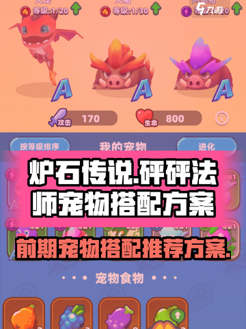砰砰法师宠物搭配怎么搭介绍截图1