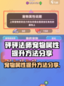 砰砰法师宠物属性怎么提升介绍