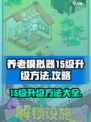 养老模拟器15级怎么升级介绍