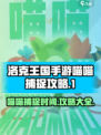 洛克王国手游喵喵捕捉时间🔥必看攻略！